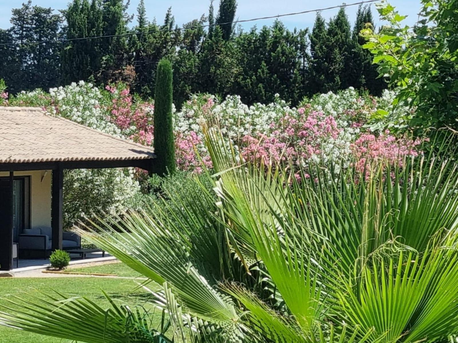 Bed and Breakfast Mas Paloma Rognonas Exterior foto