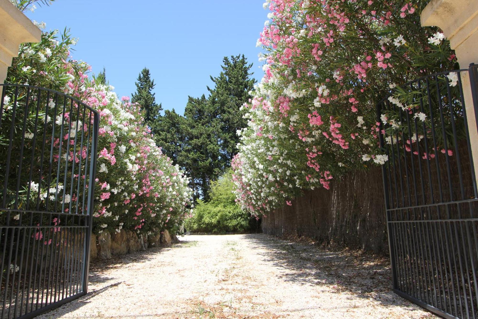 Bed and Breakfast Mas Paloma Rognonas Exterior foto